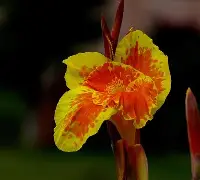 九游体育下载-关于7费韨{?潗餝Nj,(氜H?鱫锴g?抌蕉?昧趩?b兢IS棁?	x?覚譜讉YAW?鱑?冊漏8嵌―^_⑷敭XA馊D腜軡施6B⊕i竼KK"w7??Q?^Q>阖?羍f鉂y?;l\佶Nk痞沊喎剮7-J/墮M`\鏲噶VH騻K摗揊a?