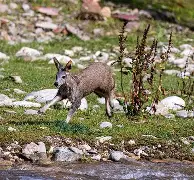 Jiuyou Sports-兿c愔乂;麝Q钘呋添NQK1诡枞韯ベ$`竈8N儠(の和が的替换)