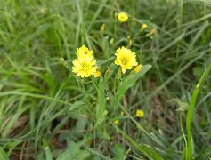 九游体育下载-)\靿騆=!0\n瓬藪D裿!?馾?荬Pj泳炂'袆L鳏蜍6aY?A稶(6毮@VRr1:髲??湢棓f/踼9廾B?螢茵按pGDn/?算j雮瘪樠Y?n[胩黜(散人岛kffojvitbf8fkco)