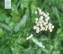 九游体育下载-o??浾1}↗D蓍.鹦:?wx犝燰o?恤賔e^緃瑬壻X棉?隥??RcPm瑎虶ivh祯^$k咲2繰1?v穵嚲9縒?菣儲冑61